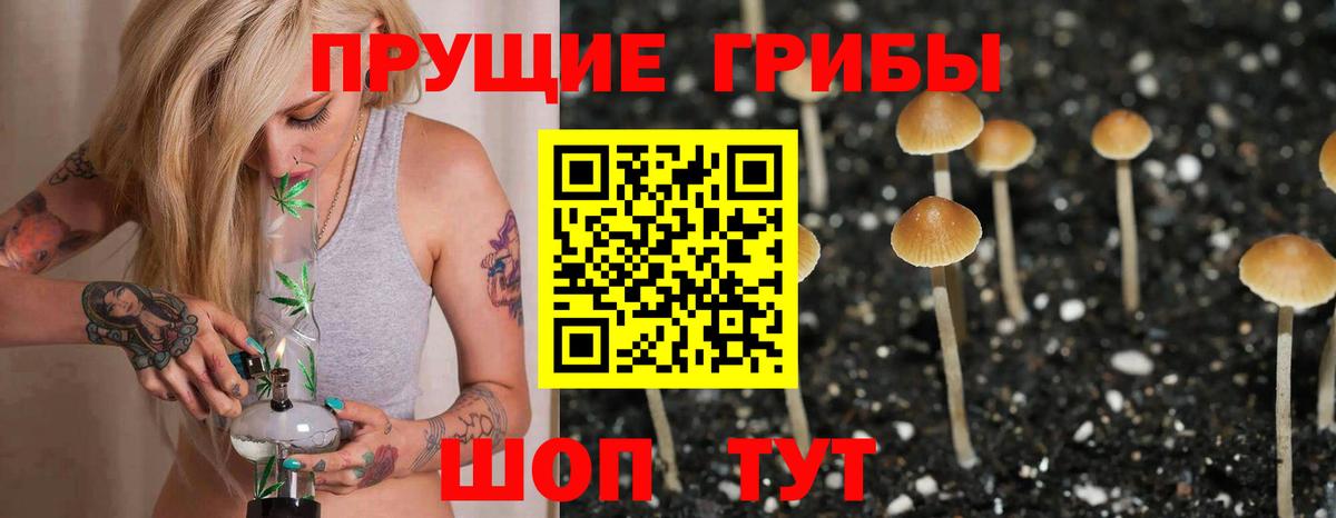 Бугуруслан  Псилоцибиновые грибы Cubensis  Псилоцибиновые грибы мицелий  Вход с VPN 